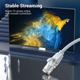  Cáp mạng Cat 6 UTP VENTION IBE (1Gbps) 