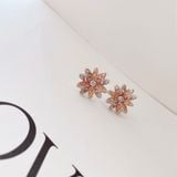  Khuyên tai Swarovski Cúc bất tử mix nhiều màu - Swarovski Eternal Flower stud earrings Flower, Multicolored, Mixed metal finish 