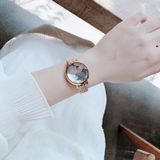  Đồng hồ Swarovski Crystal Lake vàng hồng - Swarovski Crystal Lake Quartz Grey Dial Ladies Watch 