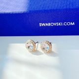 Khuyên Swarovski Angelic màu vàng - Swarovski Angelic stud earrings Round cut, White, Gold-tone plated 