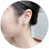  Khuyên tai thiên nga Swarovski màu trắng - Swarovski Swan Pierced Earrings, White, Rhodium Plated 