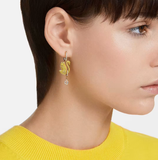  Khuyên Swarovski Iconic Swan Drop, Swan, Yellow, Gold-Tone Plated 