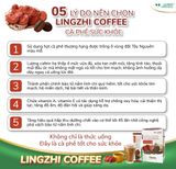  Cà phê sức khỏe Lingzhi Coffee 
