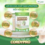  Thực phẩm Protein thực vật Cordypro 