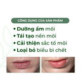  Son Dưỡng Saffron C’Choi 