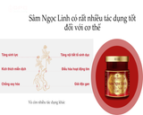  Thực phẩm bổ sung SÂM NGỌC LINH YẾN SÀO OPC 