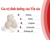  Thực phẩm bổ sung SÂM NGỌC LINH YẾN SÀO OPC 