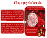  Thực phẩm bổ sung SÂM NGỌC LINH YẾN SÀO OPC 