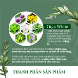  Phấn Nước C'Choi Herbal DD Cushion 