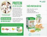 Thực phẩm Protein thực vật Cordypro 