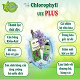  Thực phẩm bảo vệ sức khỏe TH- Chlorophyll UIE PLUS 