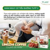  Cà phê sức khỏe Lingzhi Coffee 