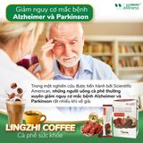  Cà phê sức khỏe Lingzhi Coffee 