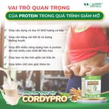  Thực phẩm Protein thực vật Cordypro 