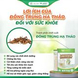  Thực phẩm Protein thực vật Cordypro 