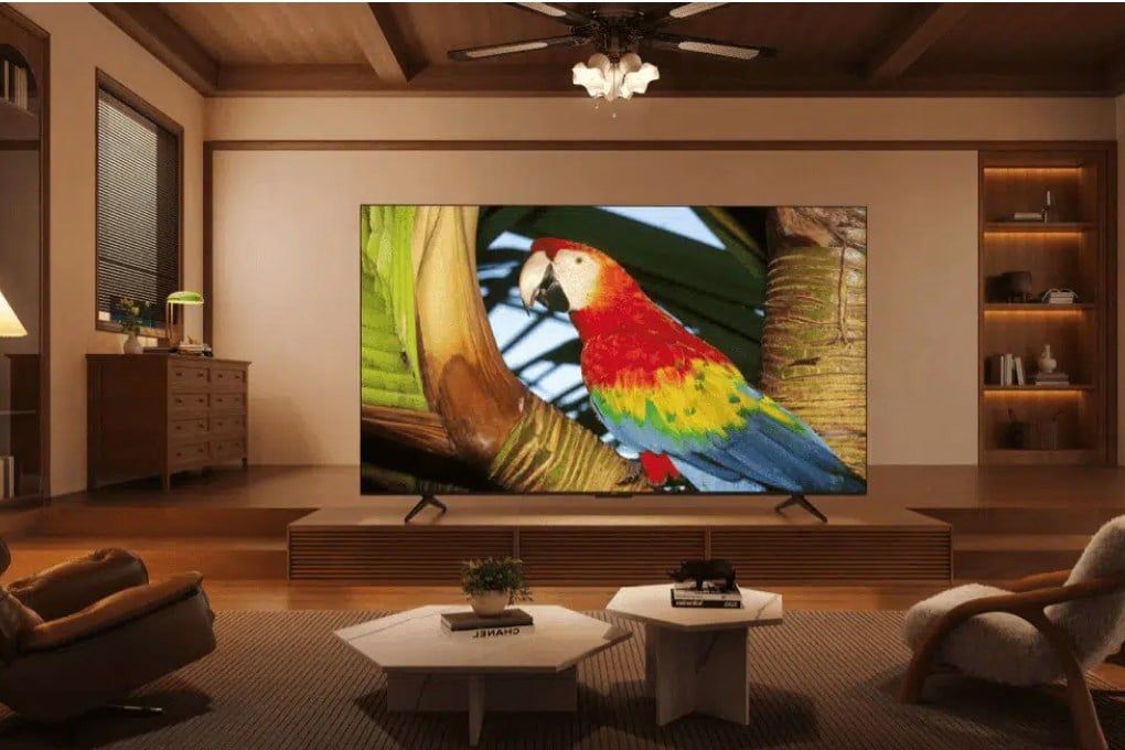 Google Tivi QLED TCL 4K 65 inch 65C69B