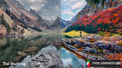 Google Tivi Sony 4K 43 inch K-43S30