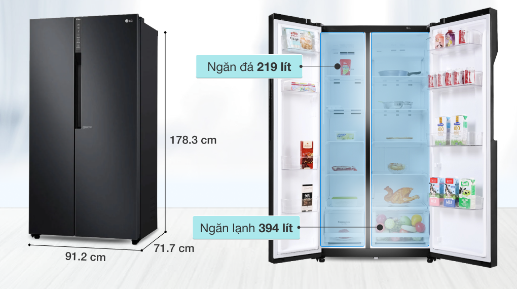 Tủ lạnh LG Inverter 613 lít GR-B247WB