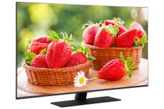 Smart Tivi QLED 4K 50 inch Samsung QA 50Q80A