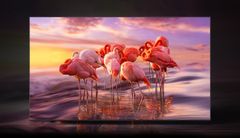Smart Tivi Samsung QLED 4K 50 Inch QA50Q63C [ 50Q63C ]