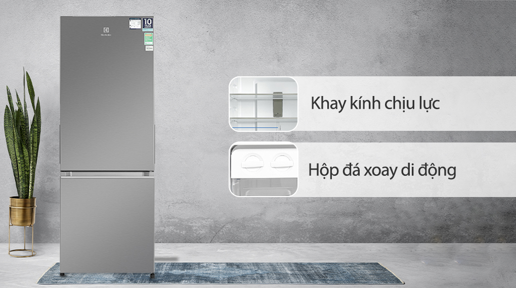 Tủ lạnh Electrolux Inverter 308 Lít EBB3402K-A - Tiện ích