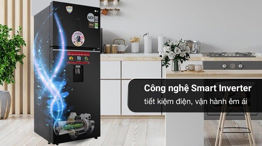 Tủ lạnh LG LTD46BLMA 459 lít 2 cánh Inverter