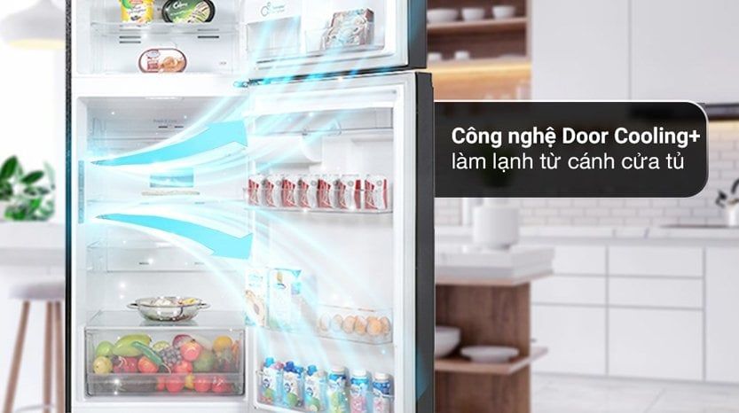 Tủ lạnh LG LTD46BLMA 459 lít 2 cánh Inverter
