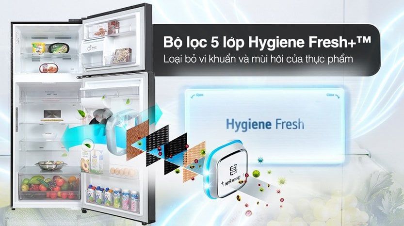 Tủ lạnh LG LTD46BLMA 459 lít 2 cánh Inverter