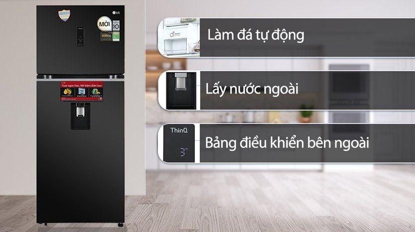 Tủ lạnh LG LTD46BLMA 459 lít 2 cánh Inverter