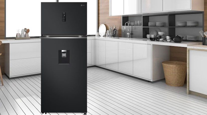 Tủ lạnh LG LTD46BLMA 459 lít 2 cánh Inverter