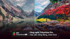 Google Tivi Sony 4K 50 inch KD-50X80L   [ 50X80L ]