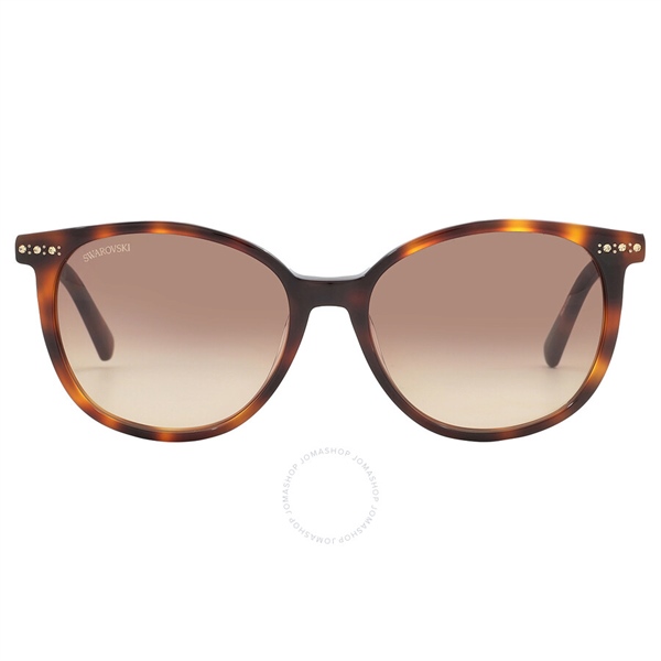  Kính Swarovski Brown Gradient Oval Ladies Sunglasses SK0354 