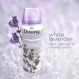 Viên xả quần áo Downy Light White Lavender Laundry Scent Booster Beads for Washer 24Oz 680g 