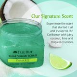  Tẩy tế bào chết body Tree Hut coconut lime shea sugar scrub 510g 18Oz 