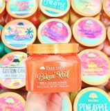  CTY - Tẩy tế bào chết cơ thể Tree Hut Bikini Reef Shea Sugar Scrub 18Oz 510g (Chai) 