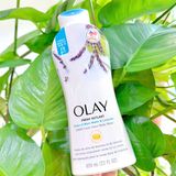  CTY - Sữa tắm Olay Fresh Outlast – Birch Water & Lavender 24HR Fresh Vibes Body Wash 650mL 22Oz 