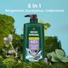  Gel tắm + gội + xả Irish Spring 5 in One 30Oz 887ml 