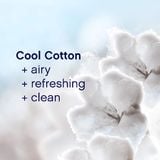  Giấy thơm quần áo và làm mềm vải Downy cool cotton fabric softener dryer sheets hộp 240 tờ 