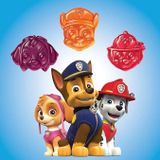  Kẹo bổ sung vitamin tổng hợp L’il Critters Paw Patrol Gummy Multivitamin for Kids 60 viên 
