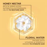  Dầu gội Garnier Whole Blends Honey Water Moisture Restoring Shampoo 12.5Oz 370ml 