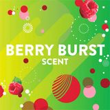  Gel vệ sinh Scrubbing Bubbles Toilet Cleaning Stamp Fresh Gel - Berry Burst 1.34Oz 38g 
