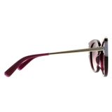  Kính Salvatore Ferragamo Sunglasses SF840SA 500 Violet Brown 54-20-140 