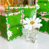  Nước hoa Marc Jacobs Daisy Wild EDP 0.13Oz 4ml 