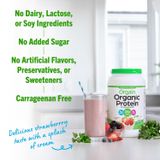  Bột bổ sung Protein Orgain Organic Protein Powder Plant Based Strawberries 32.4OZ 920g 
