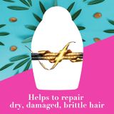 Set gội xả dưỡng tóc OGX Hydrate & Repair + Argan Oil of Morocco Extra Strength for Dry Damaged Hair 