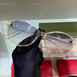  Mắt kính Calvin Klein Blue Gradient Cat Eye Ladies Sunglasses CK20517S 740 56 