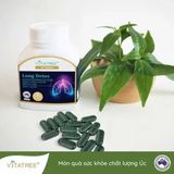  CTY - Viên uống thải độc phổi Vitatree Lung Detox 60 viên 