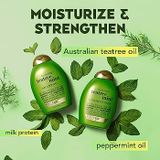  Dầu xả OGX Extra Strength Refreshing Scalp + Teatree Mint Conditioner 385ml 