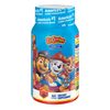  Kẹo bổ sung vitamin tổng hợp L’il Critters Paw Patrol Gummy Multivitamin for Kids 60 viên 