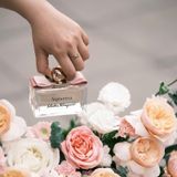  Nước hoa nữ Salvatore Ferragamo Signorina EDP 3.4Oz 100ml 